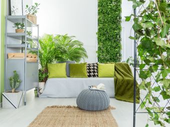 5 Cara Mudah Membuat Vertical Garden di Rumah