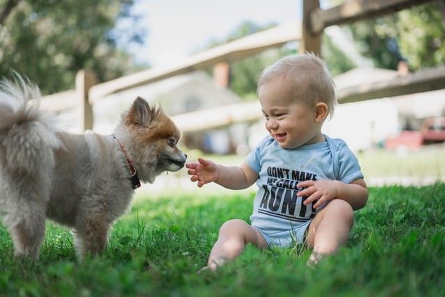 Penyebab Bayi 8 Bulan Belum Bisa Merangkak dan Duduk Sendiri